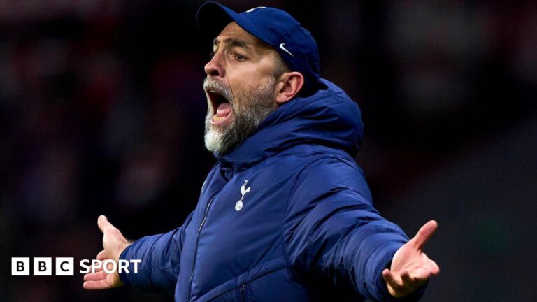 Tottenham interim manager Igor Tudor